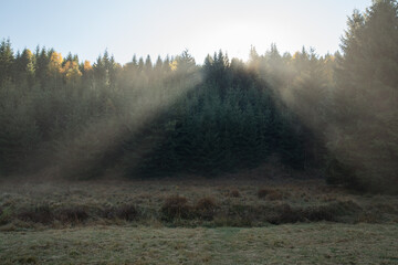 Morning fog in a quiet valley
