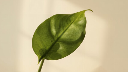 Ultra-High Resolution Close-up of a Vibrant Green Leaf with Natural Light and Subtle Shadows on a Soft Beige Background