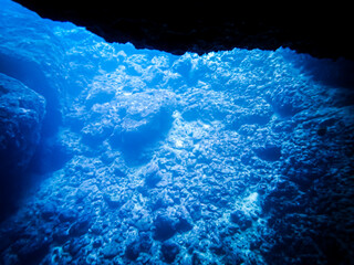 沖縄 青の洞窟・神秘の水中世界