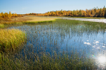 indian summer in finland