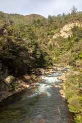Obraz premium Rapids flow through a rocky riverbed on the Waitawheta river, Karangahake, Coromandel Peninsula, New Zealand. The water rushes around the rocks, creating whitewater.