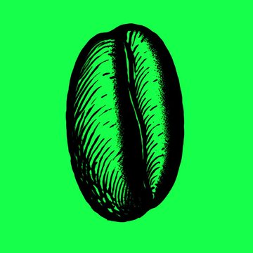 Vintage coffee bean illustration animation, transparent 4K video, green screen