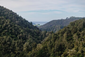 Lush green hillsides meet the ocean in Wentworth Valley, Whangamata, Coromandel Peninsula, New Zealand. The dense forest covers the landscape, creating a scenic view of nature's beauty.