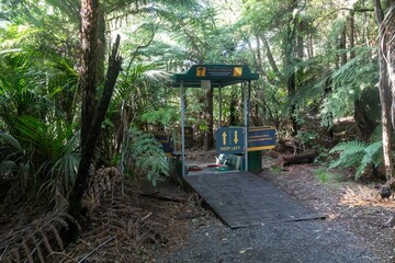 A cleaning station in a lush forest in Wentworth Valley, Coromandel Peninsula, New Zealand. The...