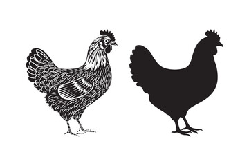 Detailed hen illustration and silhouette side by side