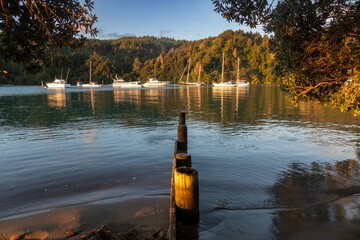 Boats rest in a calm bay at sunset, framed by trees and old wooden posts in the foreground. The...