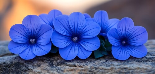 A single pinecone resting on a trail, with blurred ascending mountain paths behind