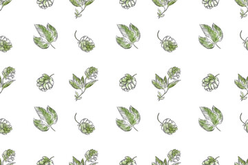 Watercolor seamless pattern background featuring hop branches cones and leaves, ideal for beer branding, brewing presentations, brewery ads, or botanical and floral themed designs. Floral, leaves.