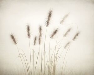 Wheat stalks minimalist botanical delicate neutral