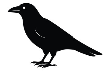 Fototapeta premium black crow vector icon