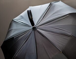umbrella with glossy black canopy and curved handle for rain protection