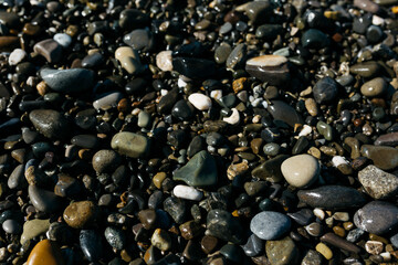 glossy stones washed by the sea wave shine from the rays of the sun on a summer day. pebbles on the city beach.the concept of environmental protection from pollution by petroleum products and plastics