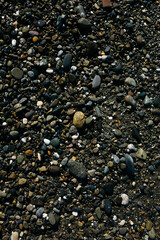 glossy stones washed by the sea wave shine from the rays of the sun on a summer day. pebbles on the city beach.the concept of environmental protection from pollution by petroleum products and plastics