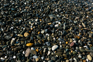 glossy stones washed by the sea wave shine from the rays of the sun on a summer day. pebbles on the city beach.the concept of environmental protection from pollution by petroleum products and plastics