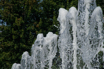 Multiple high-speed water jets cascade upward from a fountain set against a lush green foliage backdrop, capturing dynamic splashes and vibrant summer freshness. Photo