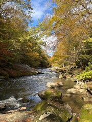 river in the forest on an autumn day with fall foliage