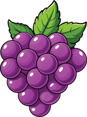 Cartoon purple grapes vector illustration with green leaves for fruit design, healthy food artwork and nature theme