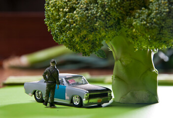 miniature toy figure of a man and a toy car with broccoli.