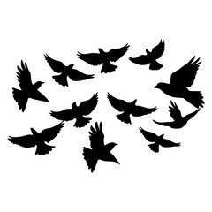 Obraz premium Flock of birds flying in formation silhouette vector illustration