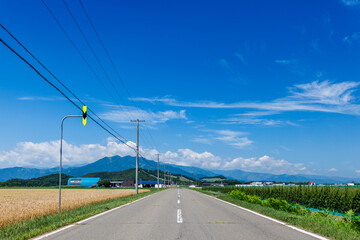 青空と一本道