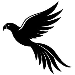 Elegant flying bird with long tail feathers silhouette vector illustration