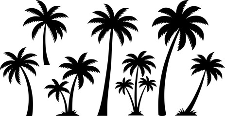 Fototapeta premium Vector illustration of a set of six black silhouette palm trees 