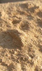 Golden sand texture bathed in sunlight
