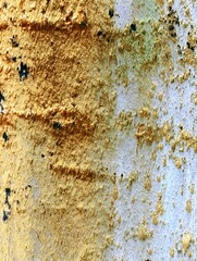 Distressed surface abstract peeling texture design