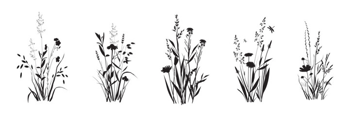 Wild herbs and flowers bouquet set. Field, meadow, steppe landscape compositions. Cereals and broadleaf floral Garden weeds thickets. Vector realistic silhouette drawings isolated on white background.