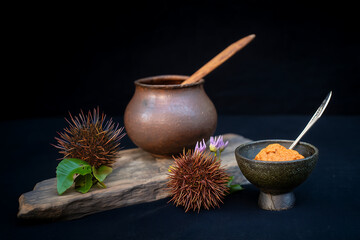 Sakhalin sea urchin. One of the delicacies, sea urchin meat is eaten raw, adding a little soy sauce
