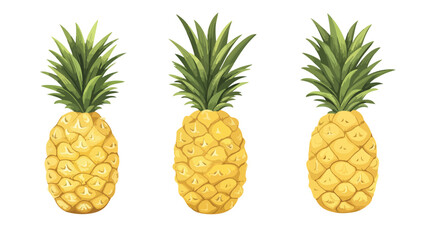 Fresh Pineapple Vector Illustration on White Background