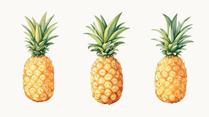 Fresh Pineapple Vector Illustration on White Background