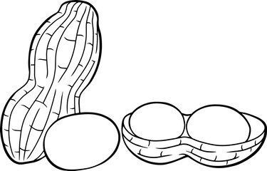 peanut line vector illustration isolated on white background