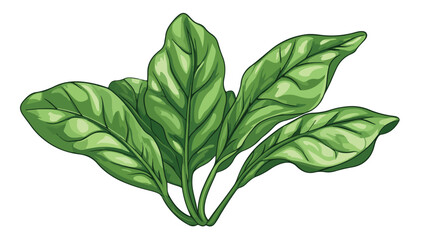 Obraz premium Fresh Round Cartoon Green Leaf Organic Plant Illustration