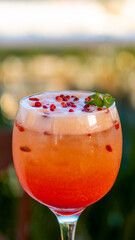 A close-up shot of a beautiful, refreshing cocktail garnished with pomegranate and mint.