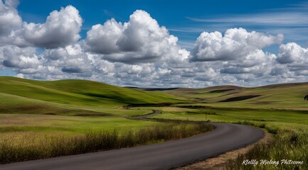Fototapeta premium Serene Country Road Leading to Distant Horizon