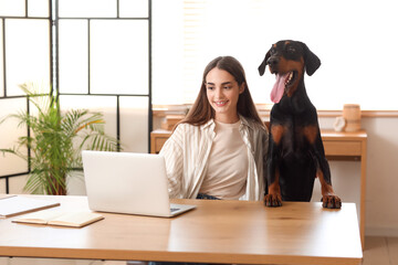 Cute Doberman dog and beautiful young happy woman working with laptop at home