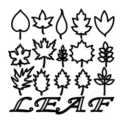 Leaf icon