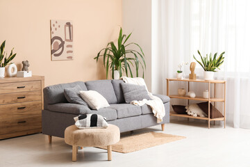 Sofa, pouf with cushion, shelving unit, chest of drawers and houseplants in interior of living room