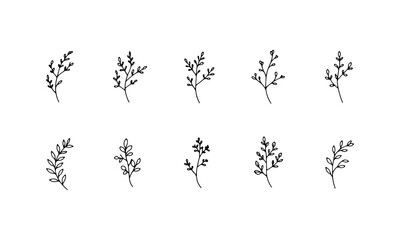 Line Art Flower Stems. A set of simple flower stems in linear style, perfect for contemporary botanical prints, logo design, and creative projects.