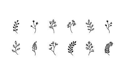 Black Silhouetted Botanical. Striking group of black floral silhouettes with vibrant leaves and clean shapes, perfect for logos, posters and minimalist graphic compositions.