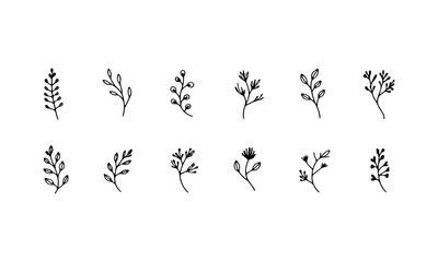 Minimal Leafy Branches Set. A simple collection of hand-drawn botanical twigs with minimal leaves for elegant natural designs.