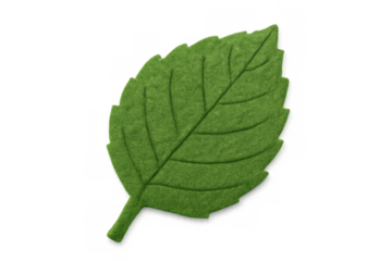 Green grass leaf symbolizing environmental sustainability, representing ecological harmony against transparent background