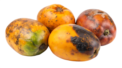 Four overripe mangoes with dark blemishes and green patches on a black background isolated on a transparent background