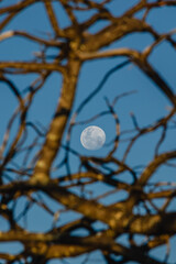 lua cheia na cidade de Teresina de Goiás, Estado de Goiás, região da Chapada dos Veadeiros, Brasil