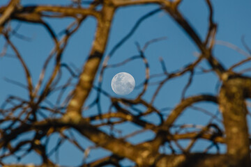 lua cheia na cidade de Teresina de Goiás, Estado de Goiás, região da Chapada dos Veadeiros, Brasil
