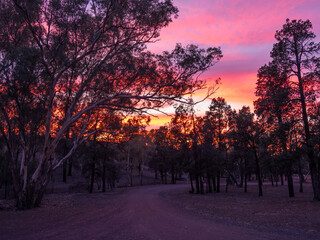 Sunrise Flinders Ranges