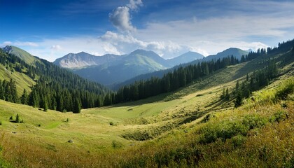 Obraz premium panoramic mountain landscape with forest