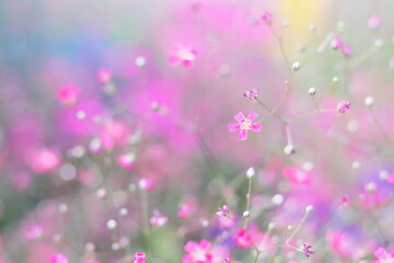 パステル調の淡い色彩の花の風景