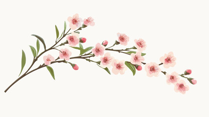 Realistic Waxflower Vector Illustration